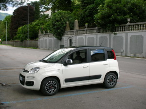 Panda Black and White